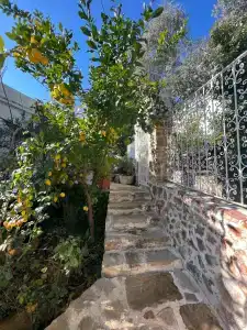 Lemon Villa - Adult Only - 39