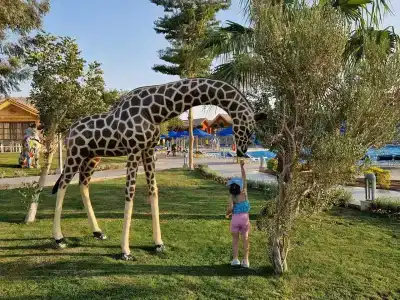 Pickalbatros Jungle Aqua Park - Neverland - 13