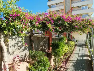 Alaiye Resort & Spa - All Inclusive - 49