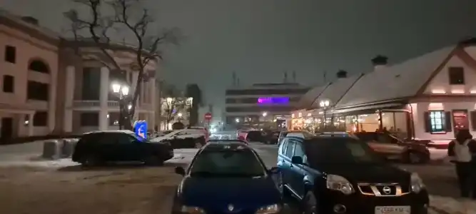 Неман - 29