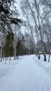 Gorenki Guest house - 65