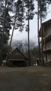 Сосновый Бор - 99