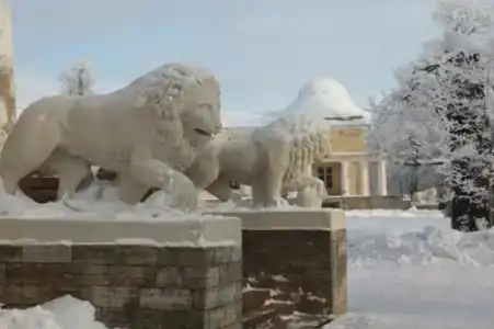 Usad'bu Mar'ino - 45