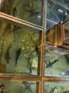 Caspian Riviera Grand Palace - 26