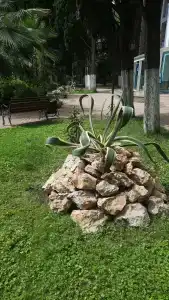 Im. Chelyuskintsev Sanatorium - 35