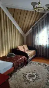 Петровск - 29