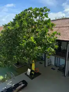 Pandanus Beach Resort & Spa - 18