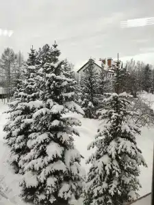 Livadiya Sanatorium - 30