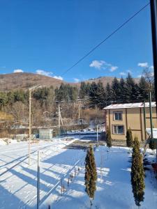 Van Resort - 29