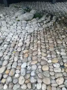 Gostinichno-Restorannyij Kompleks ZIHIYa - 49