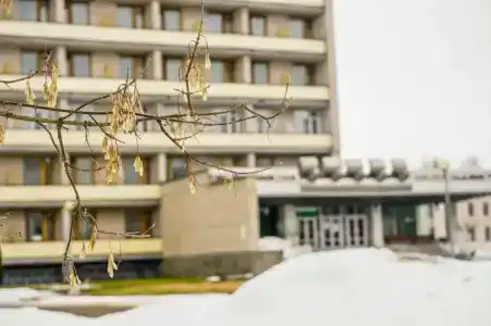 Mitino Health Resort - 32