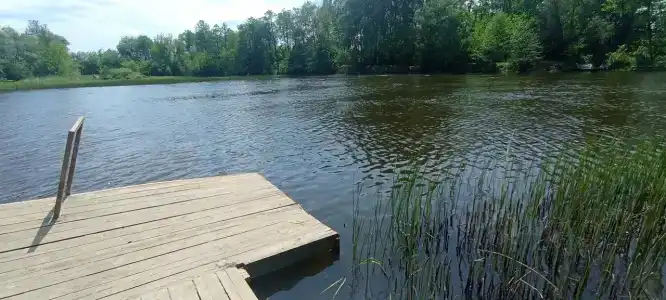 Belye peski - 50