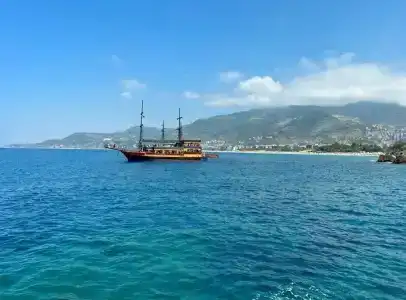 Kleopatra Royal Palm - 17