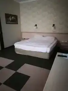 Золотой Колос - 21