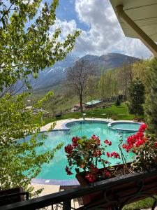 Holiday Home Zimaleto - 14