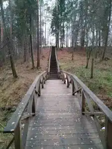 Sanatoriy Shchelykovo - 33