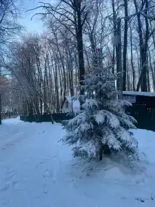 Baza Otdykha Monte-Karlo - 22