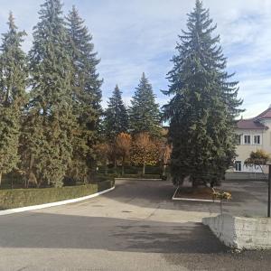 Sanatorium im. S.M. Kirova - 56