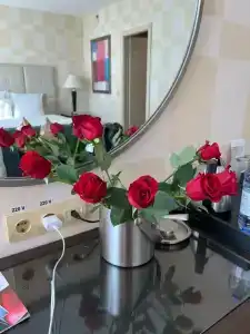 Renaissance by Sulo - 31