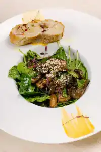 Дипломат - 66