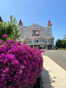 Green Max - All Inclusive - 21