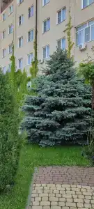 Nadezhda Park-Hotel - 33