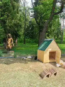 Lesnaya Skazka Restaurant-Complex - 65