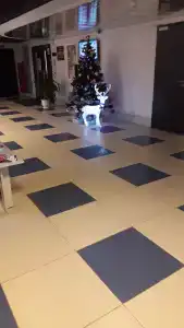 Арена Минск - 66