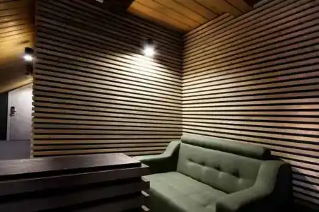 Wellion Baumansky - 13