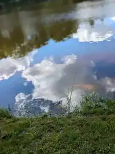 Guest house Lesnoy Edem - 51