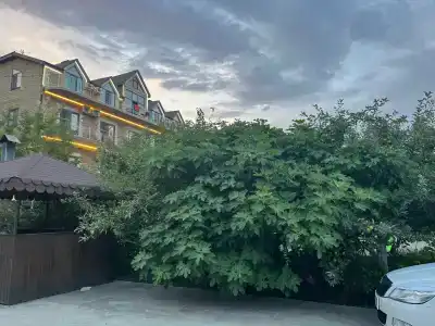 Baza otdykha Golden Sands - 81