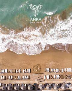 Anka Butik - Adults Only - 2