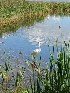 Narochanka Sanatorium - 77
