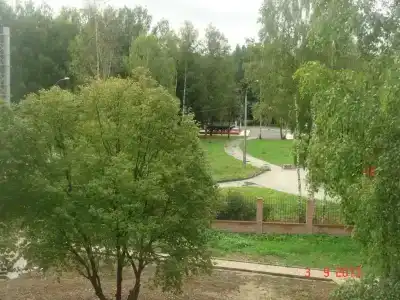 Парк Богородск - 33