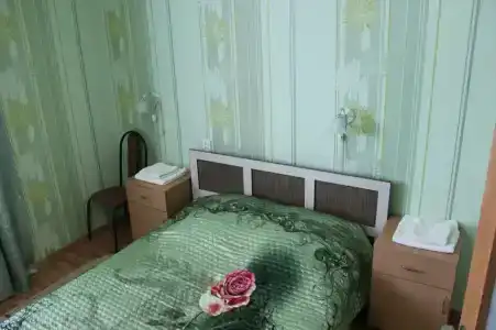 Gostinitsa Birsk - 40