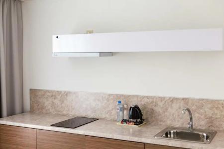 A-Liner Airport Ekaterinburg - 43