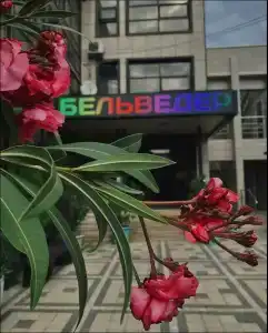Belveder - 0
