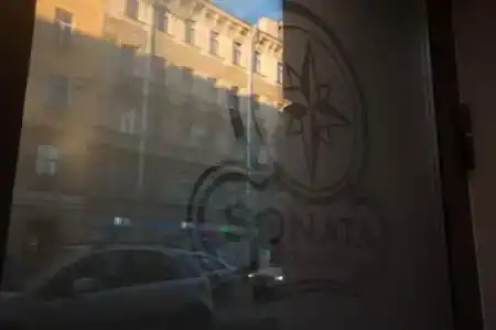 Соната на Владимирской площади - 55