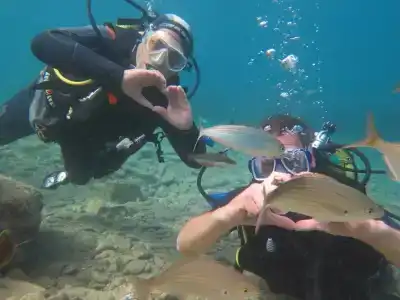 Airport Guest House - 5