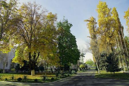 Residence Park - 23