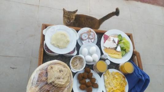 Xperience Golden Sandy Beach - 24