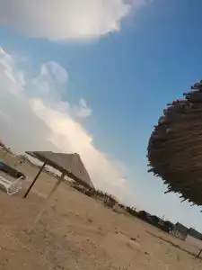 Zolotye peski Tourist base - 71