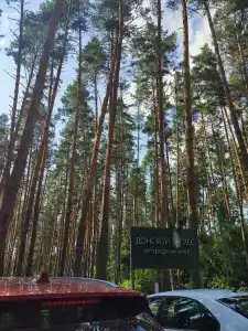 Донской лес - 86