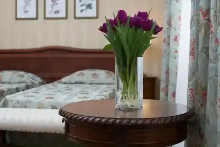 Dolphin Resort by Stellars, - 2