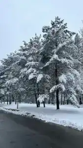 Uchrezhdenie zdravoohraneniya gorodskoy detskiy tsentr meditsinskoy reabilitatsii Praleska Sanatorium - 5