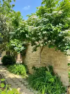 Dom otdyha Istok - 5