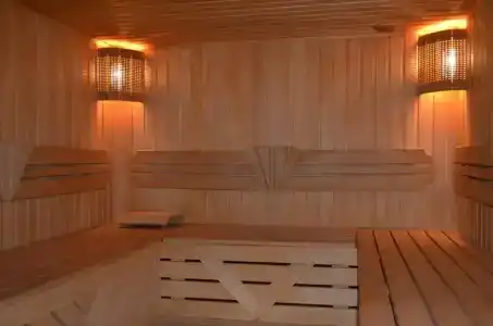 Регина Малые Клыки - 22