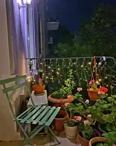 Provans Boutique - 27