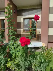 Медикал Спа Резорт Альфа Радон - 83