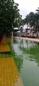 Pandanus Beach Resort & Spa - 34